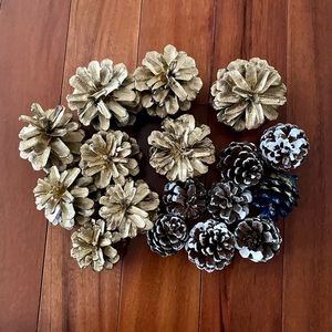 17 Pine Cones